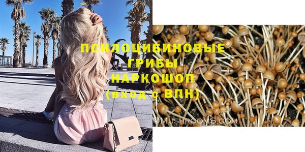 МДМА Билибино