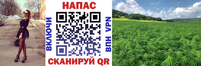 Каннабис THC 21%  МЕГА как войти  Черепаново 